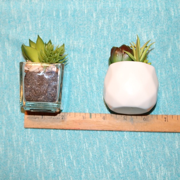 Two CUTE fake succulents! - Picture 4 of 6